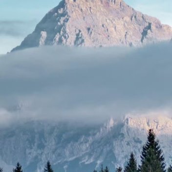 每日一善 阳光信用每日一善 如果你不相信努力，那么时光第一个就会辜负你。因为不是