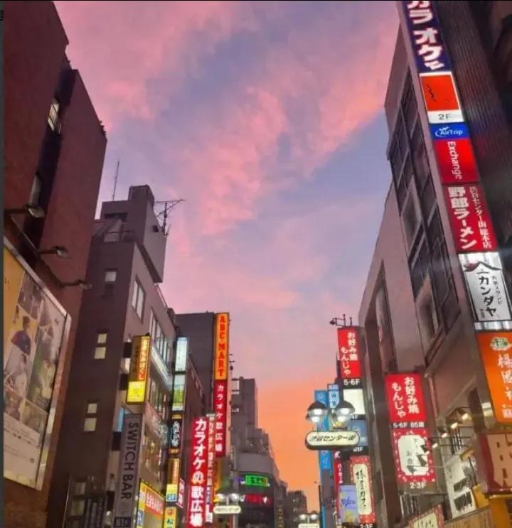 你会因为日本涉台言论拒绝赴日吗是的，不去日本。日本一个吃粪便成雅宴的国家，本来就