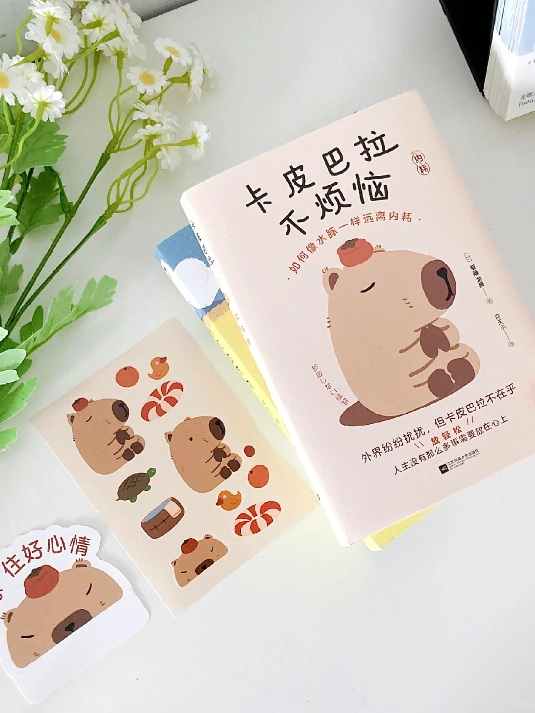 内耗严重的宝子们，一定要去读啊❗️