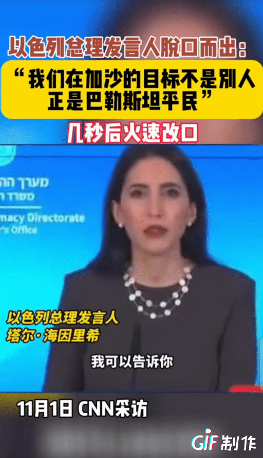 “我们进入加沙目标不是别人，正是巴勒斯坦的平民”。
以色列总理发言人接受采访一不