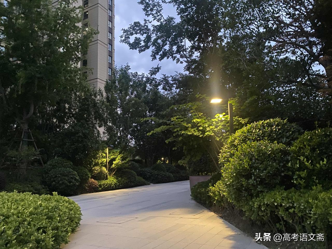 晒图笔记大赛黄昏时分，静谧的花园与高楼相映成趣，暖黄色的灯光照亮了这片绿意盎然。
