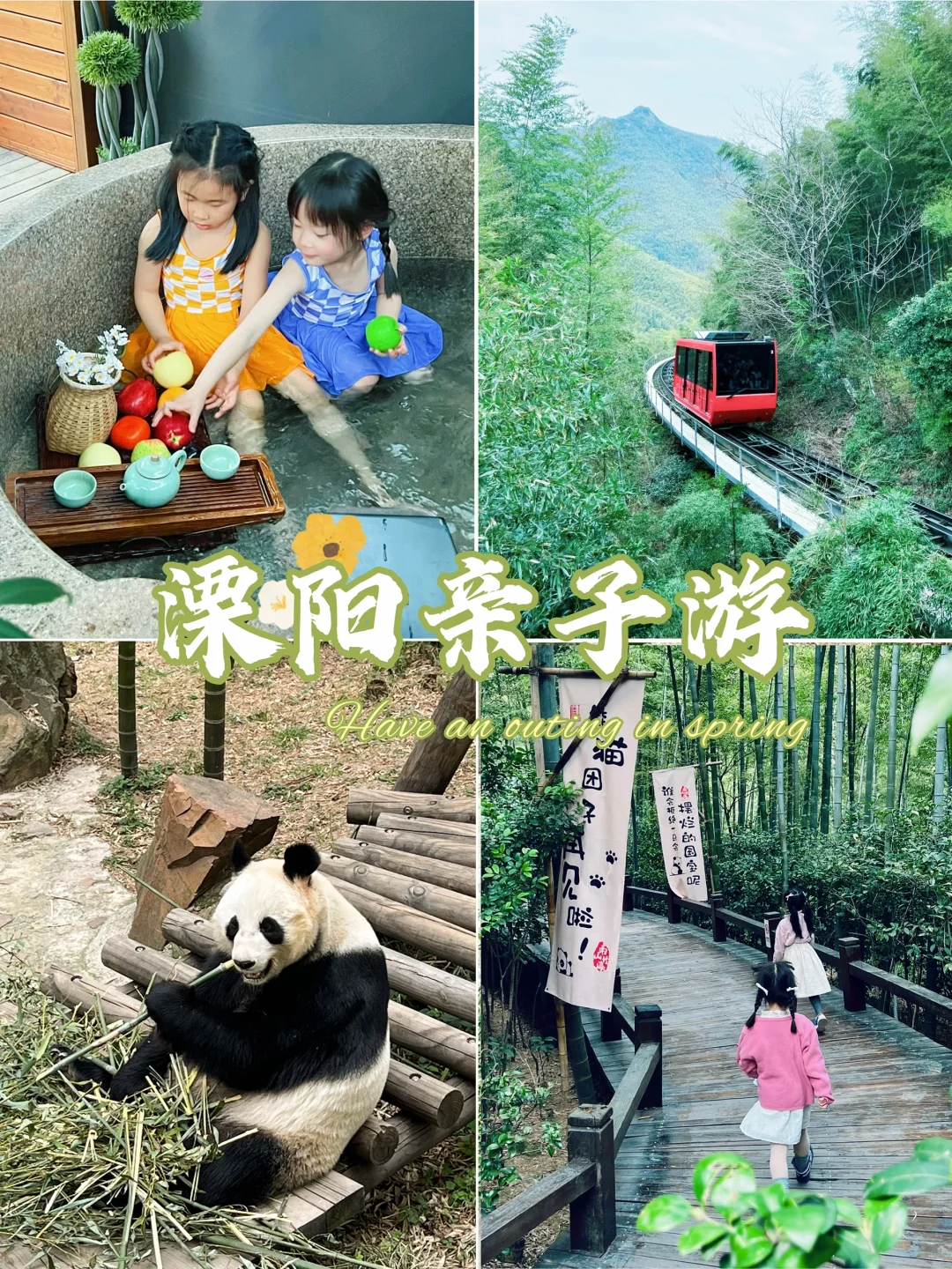 泡汤♨️竹海🎋看熊猫‼️现实版绿野仙踪