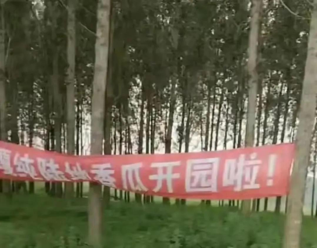 最近乱象很多:
瓜农自己地里插旗卖瓜被拔；
C管去小区里搬走新规“违规”电动车；