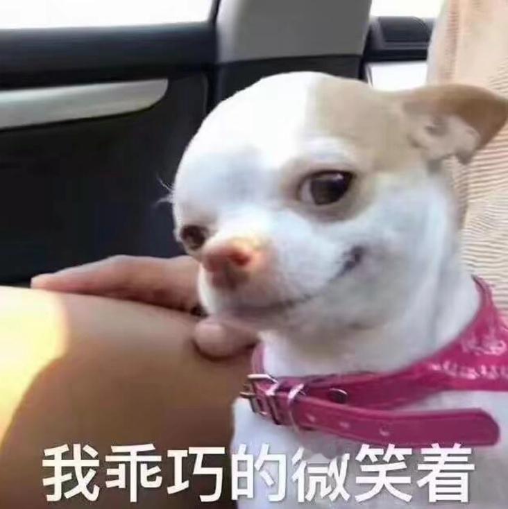 大家看不起我老公的小公司又忌惮他的帅脸的样子很好笑 