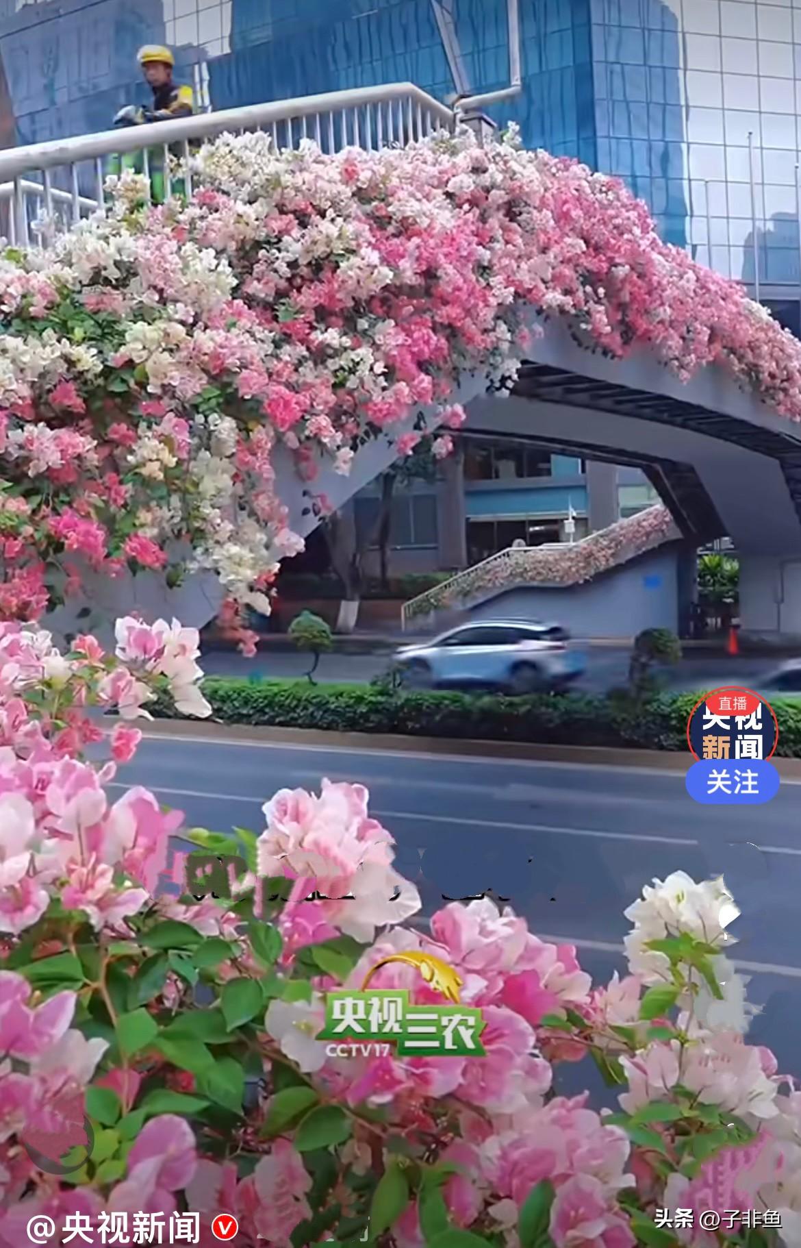 去年十二月去了广州，广州不愧是花城，都深冬了还看得我目不暇接，当时心里就想这广州