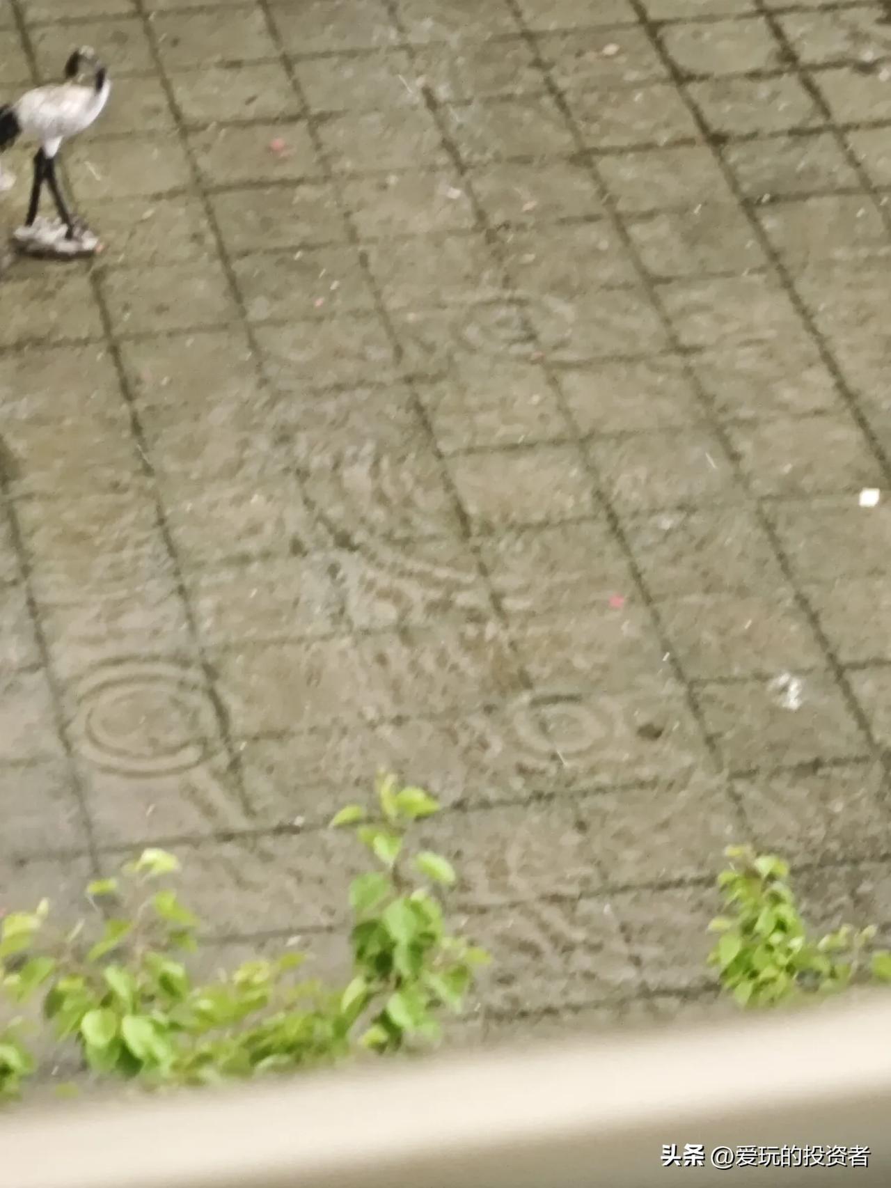 晒图笔记大赛南京六合下冰雹了！