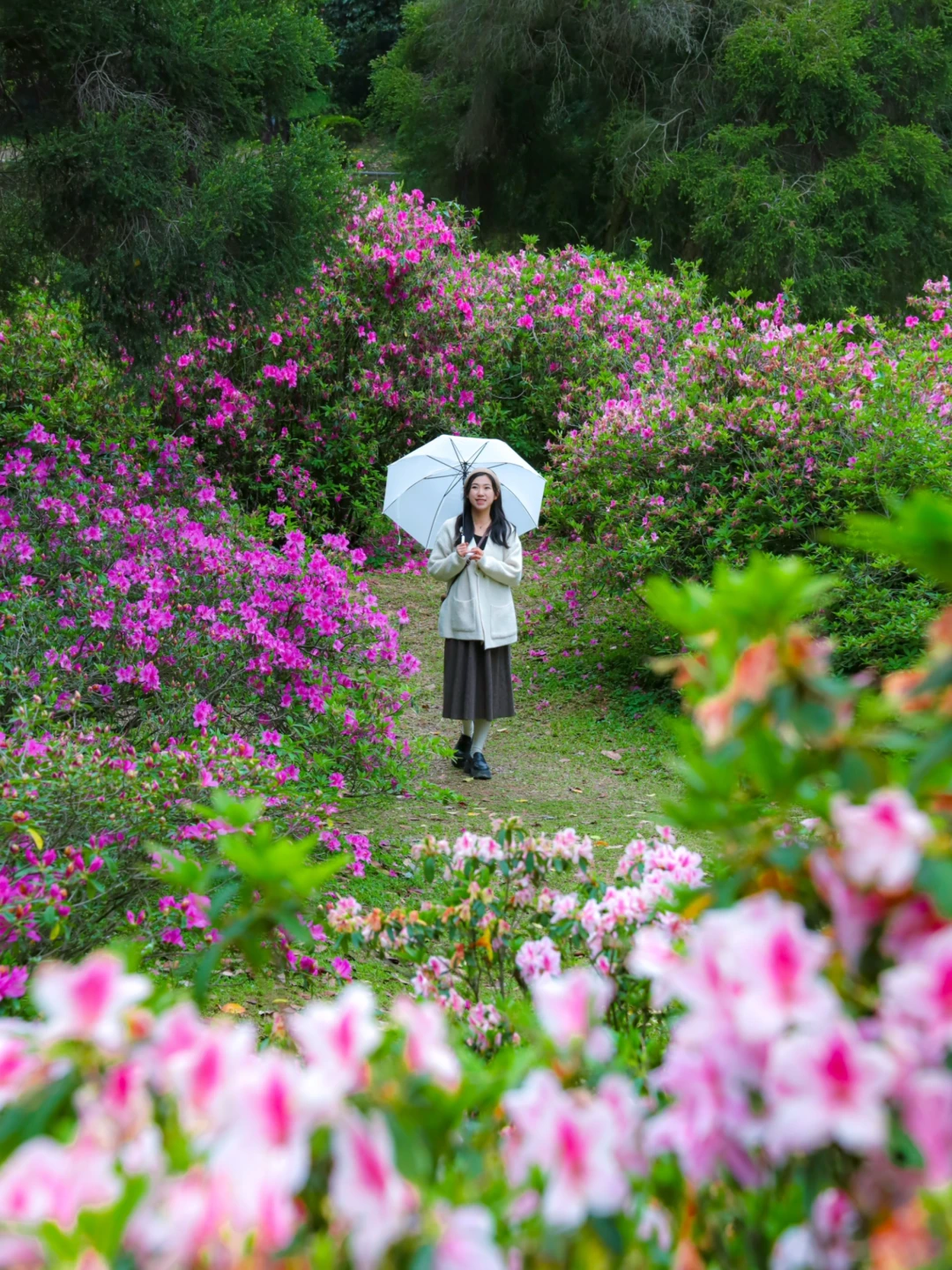 在广州！植物园真的治愈🍃又出片📸