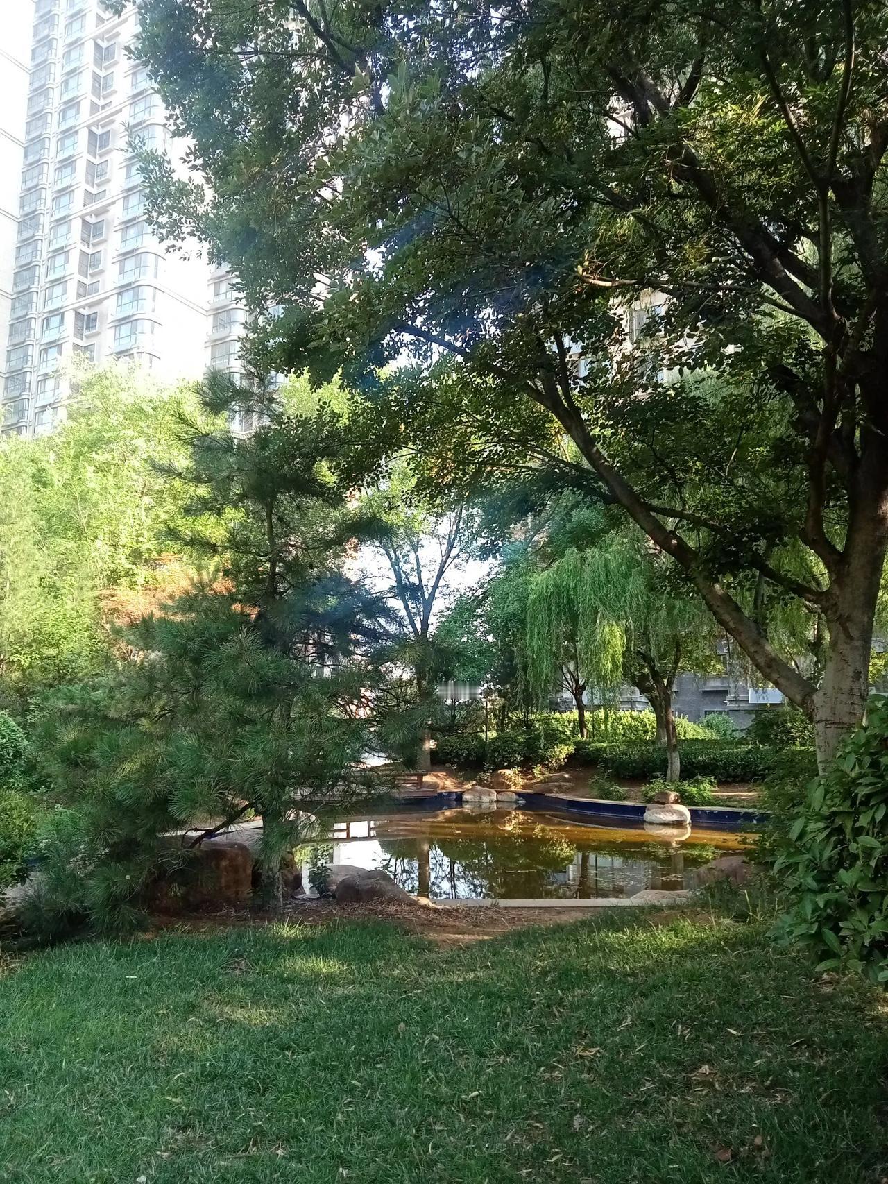 企业退休工资低怎么办呢? 还是得依靠完善社保制度，这是缩小差距的唯一途径。今年养