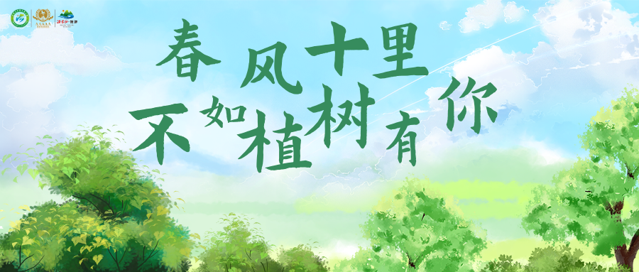 你为临沂添片绿，蒙山请你免费游！致敬每一位义务植树人