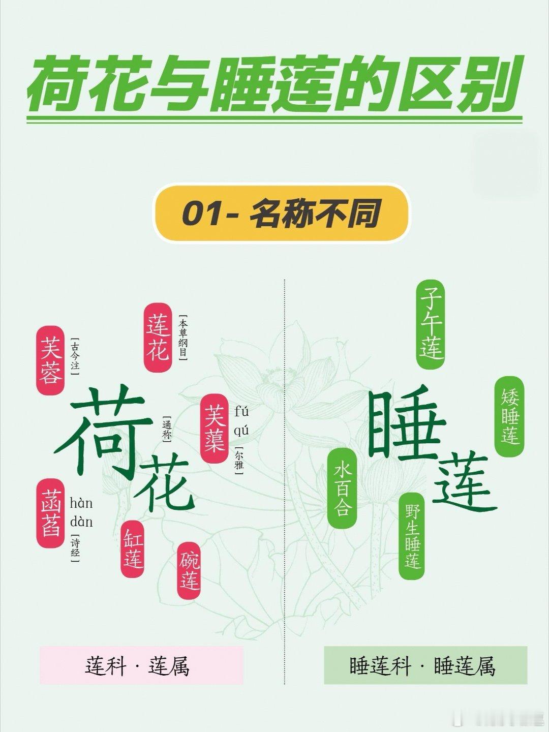 荷花和睡莲的区别荷花和睡莲虽然都是美丽的水生植物，常见于池塘和湖泊中，但它们在分