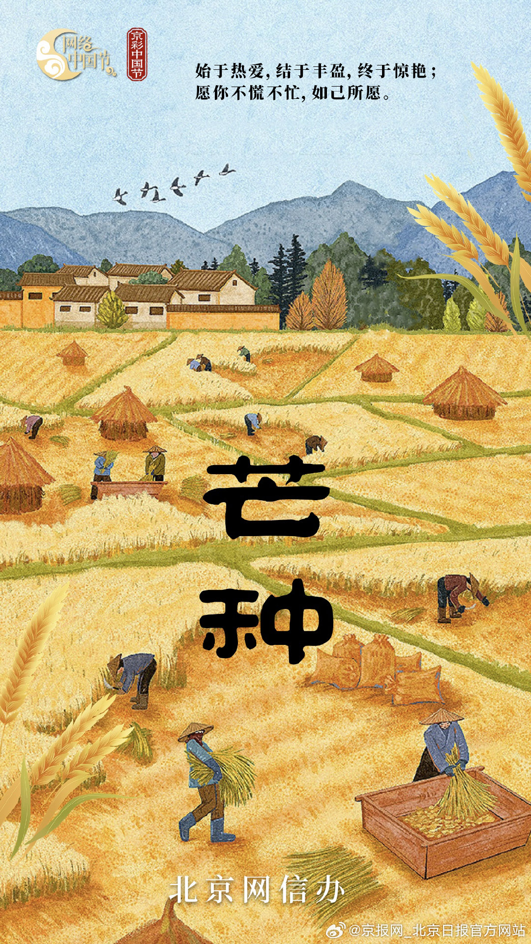 【#芒种是播种也是收获#】芒种至，夏意浓，满目麦浪染金黄。麦浪翻滚，收割机奏响丰
