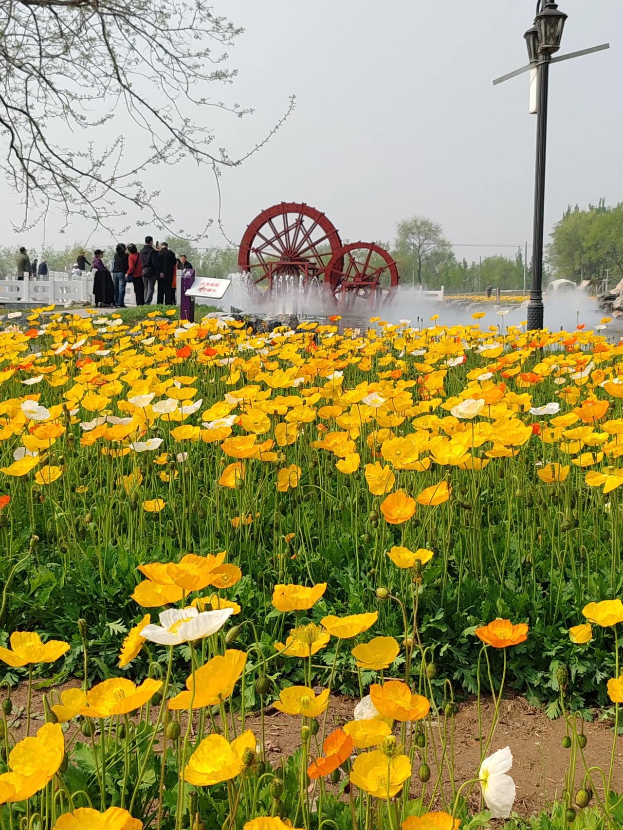 退休生活分享弹指间已退休快20年了，在这一期间上过老年大学学书法。学了三年书法写