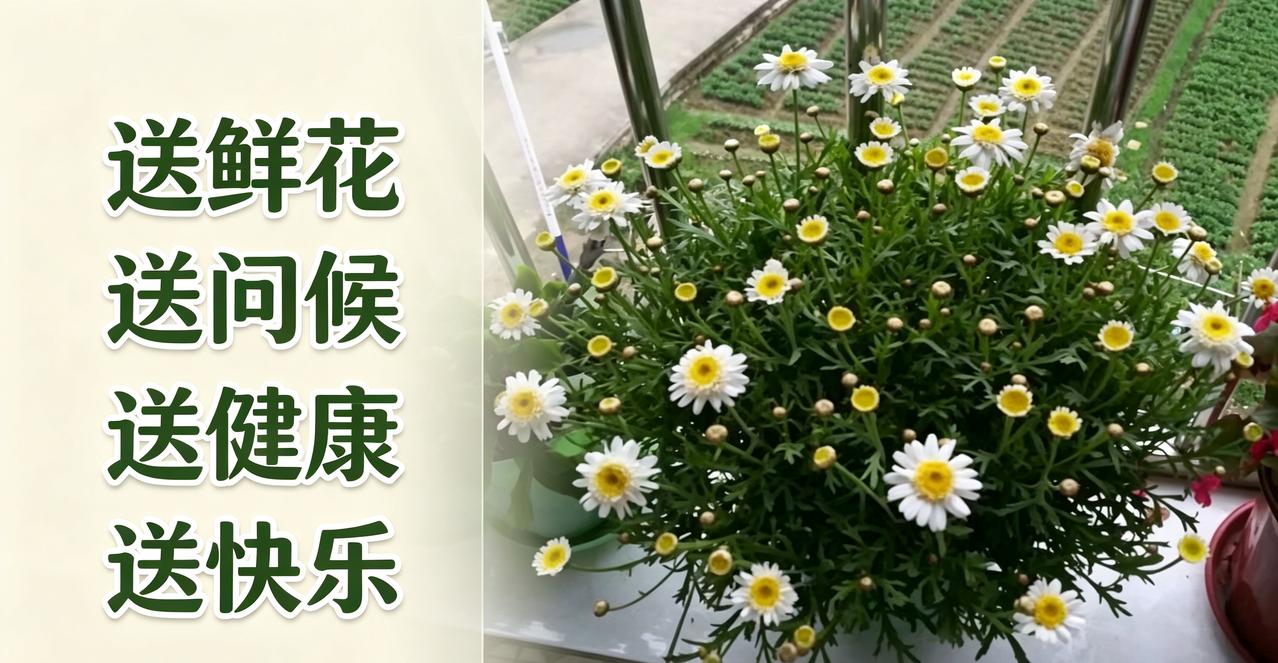 人到中年，平安即是全家底气
 
慢慢读懂，成年人最珍贵的财富，从来不是名利与风光