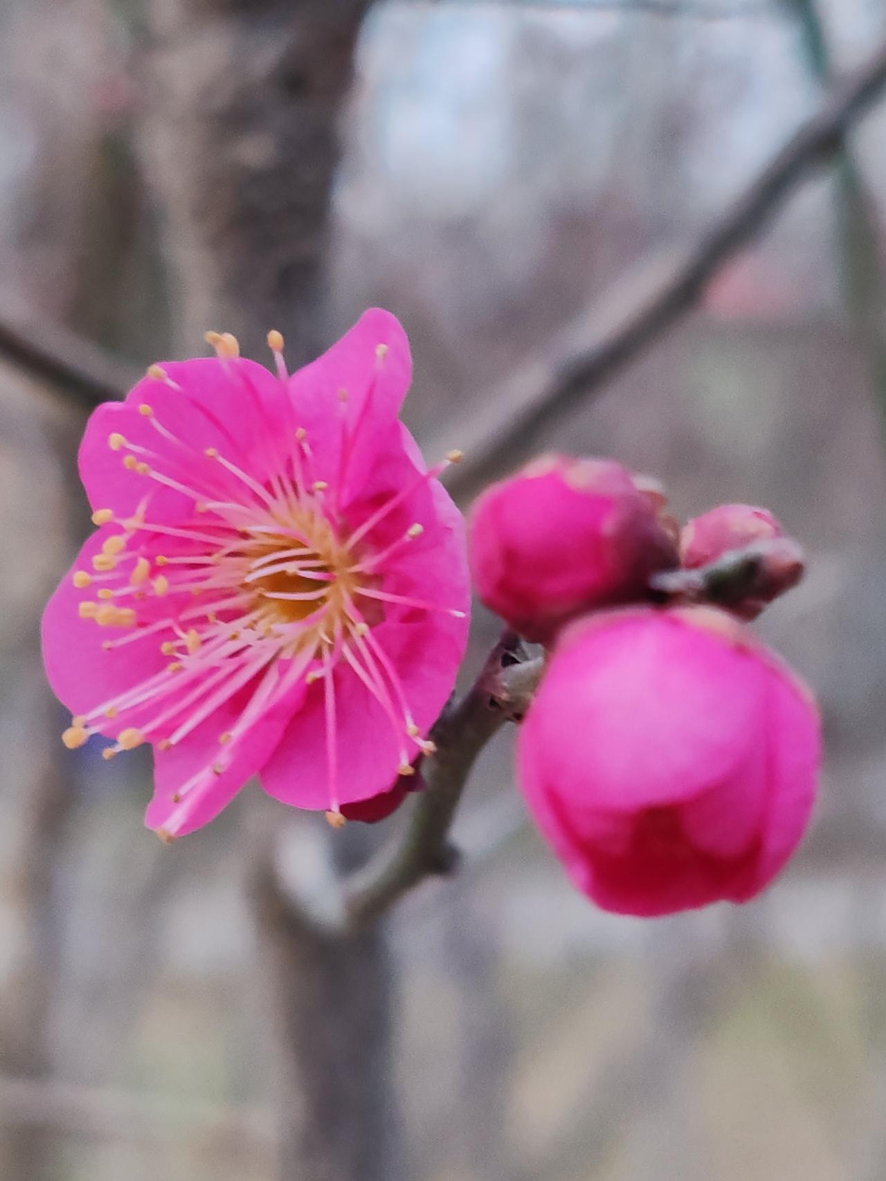 过劳死，警示着人们不可过度劳累。吃饭是能量的保障，休息是精神的基石。不吃饭致人死