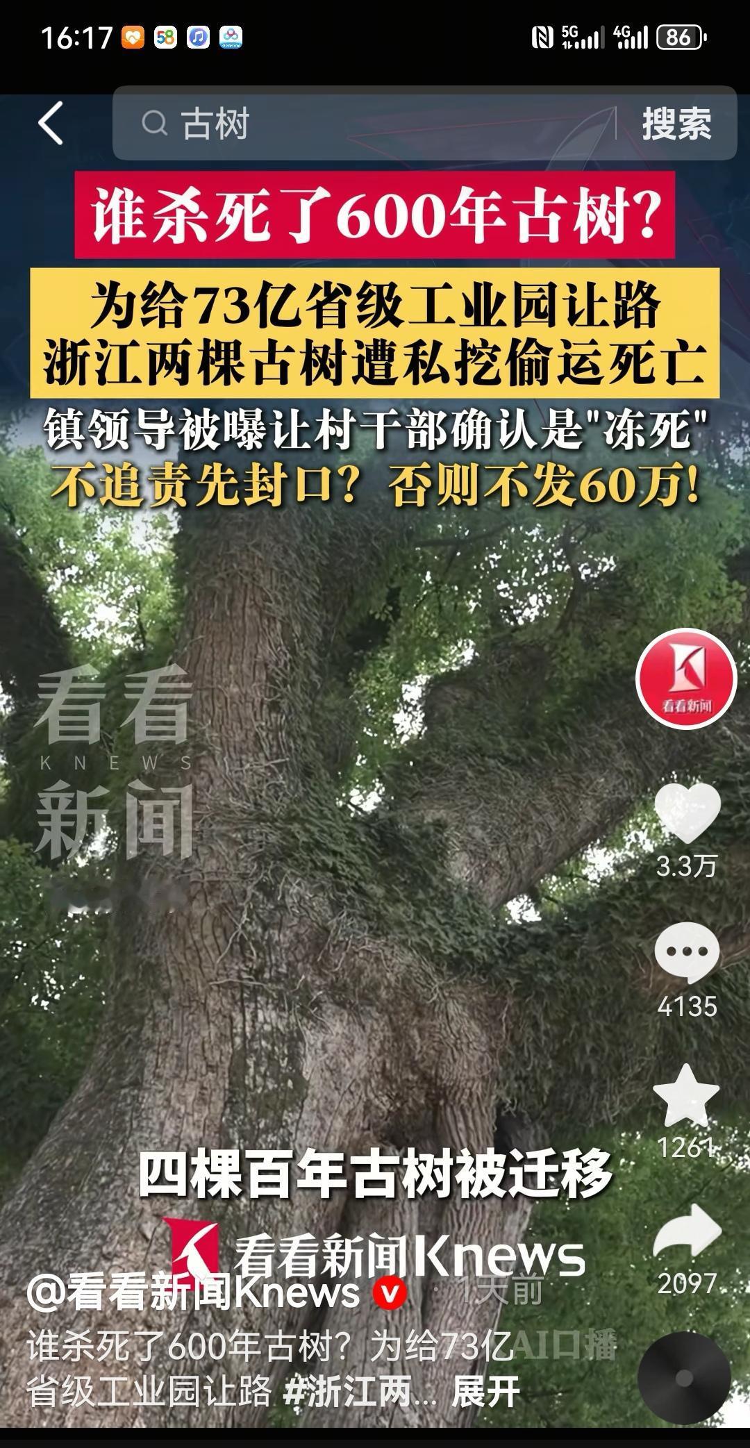 古树本不会说话，那么谁来替古树讨要公道？
浙江天台县上山村为了给一个总投资70多