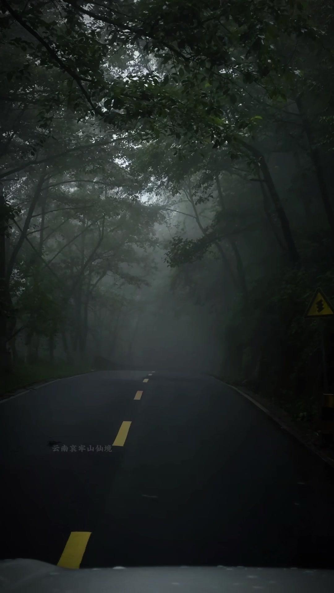 🌿在云南哀牢山的密林里，突然被一片云雾缭绕的山谷击中！这里的空气都带着草木清香