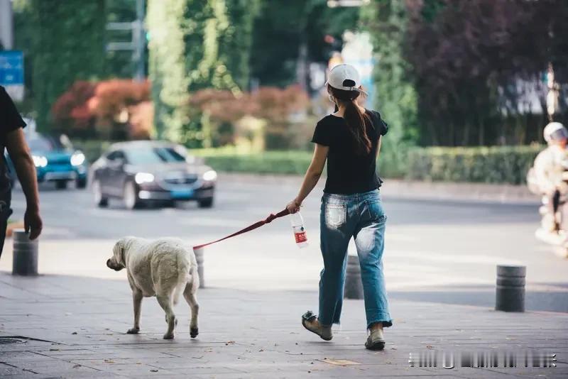 养犬管理服务费初次登记费为每只犬350元，年度检验费为每年每只犬80元！初次登记