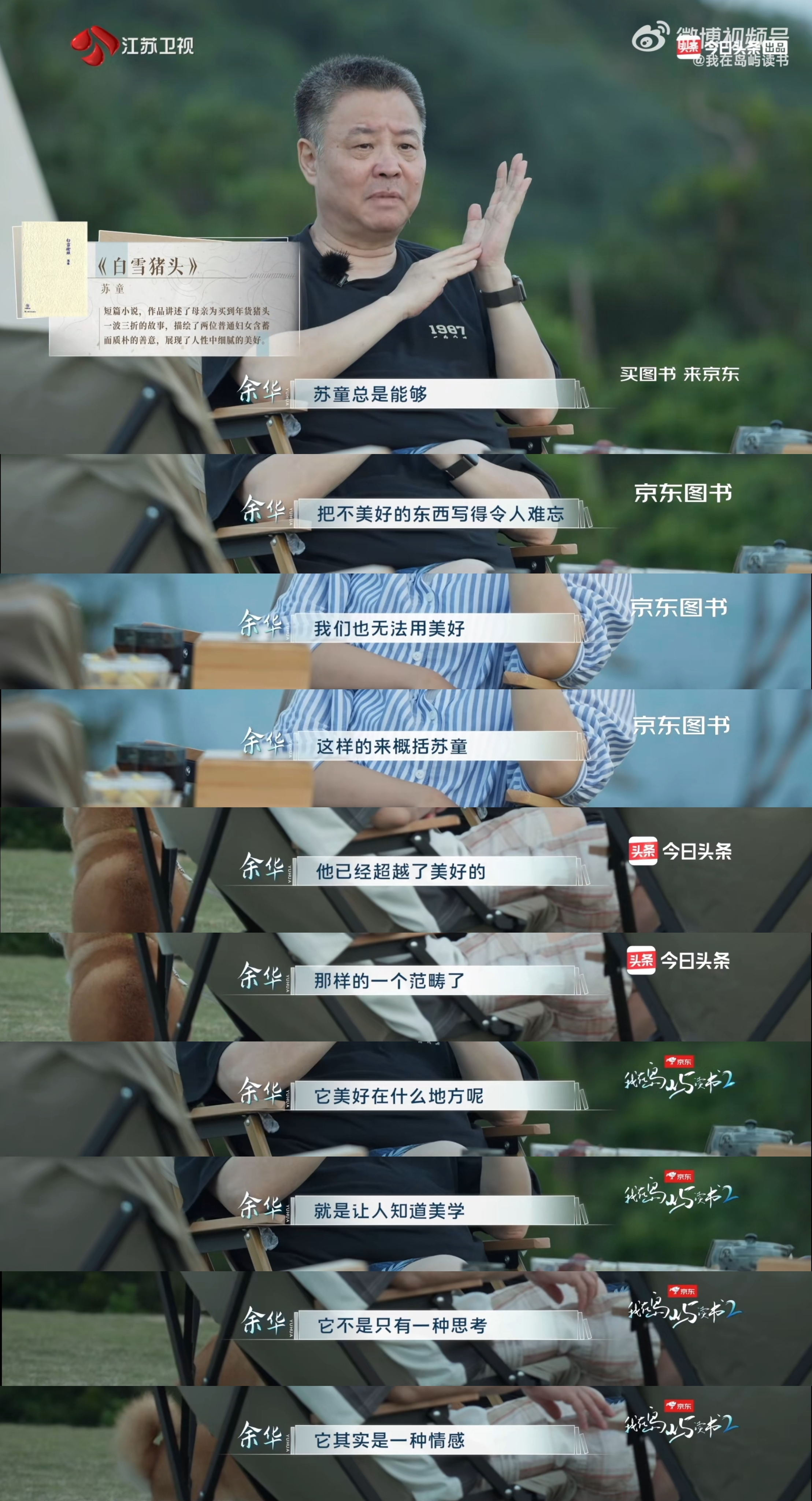 “苏童总是能够把不美好的东西写得令人难忘，我们也无法用美好来概括苏童，他已经超越