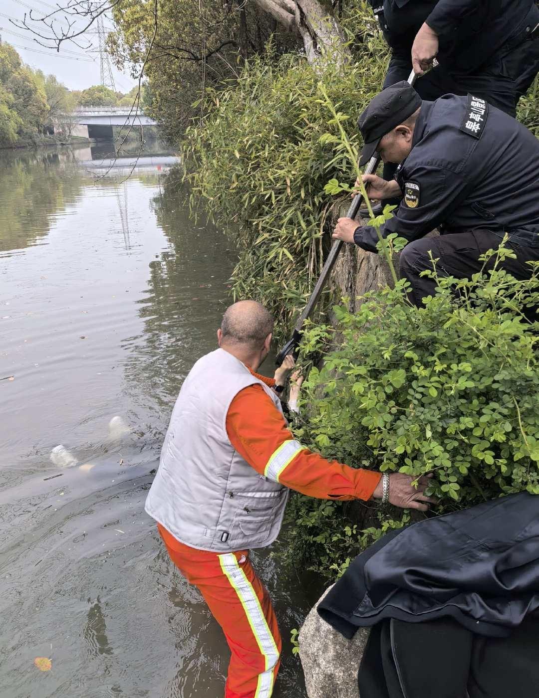 有困难找城管遇见美好杭州城管正能量（1759）【生死关头！环卫工人挺身而出】3月