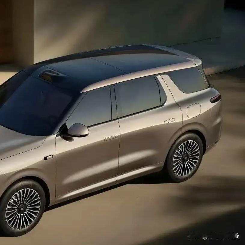 把沿途的风雪甩在身后，将山河的壮丽收入眼底。不必在原地徘徊，春节不打烊，去野，去