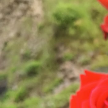 正能量余生不要和任何人争辩。哪怕别人说1+1等于6。你都要笑着说是对的。心大了 