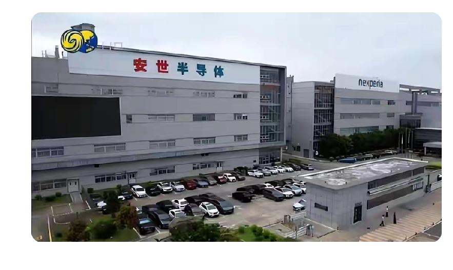 芯片永久转入中国安世这事儿，可太解气了！荷兰之前那是费尽心机，结果最后就跟抢了栋