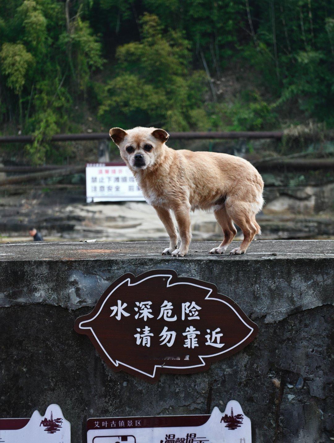小地方物价真是够低，六块钱的茶可以坐一下午，2000 一个月根本花不完。 自贡·