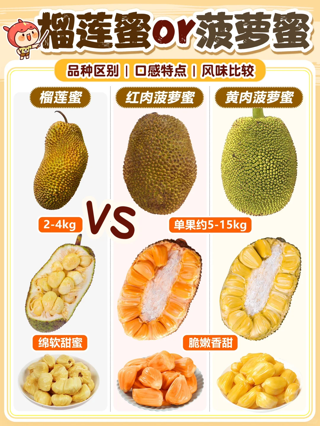 菠萝蜜怎么选❓红肉🆚黄肉🆚榴莲蜜|风味比较