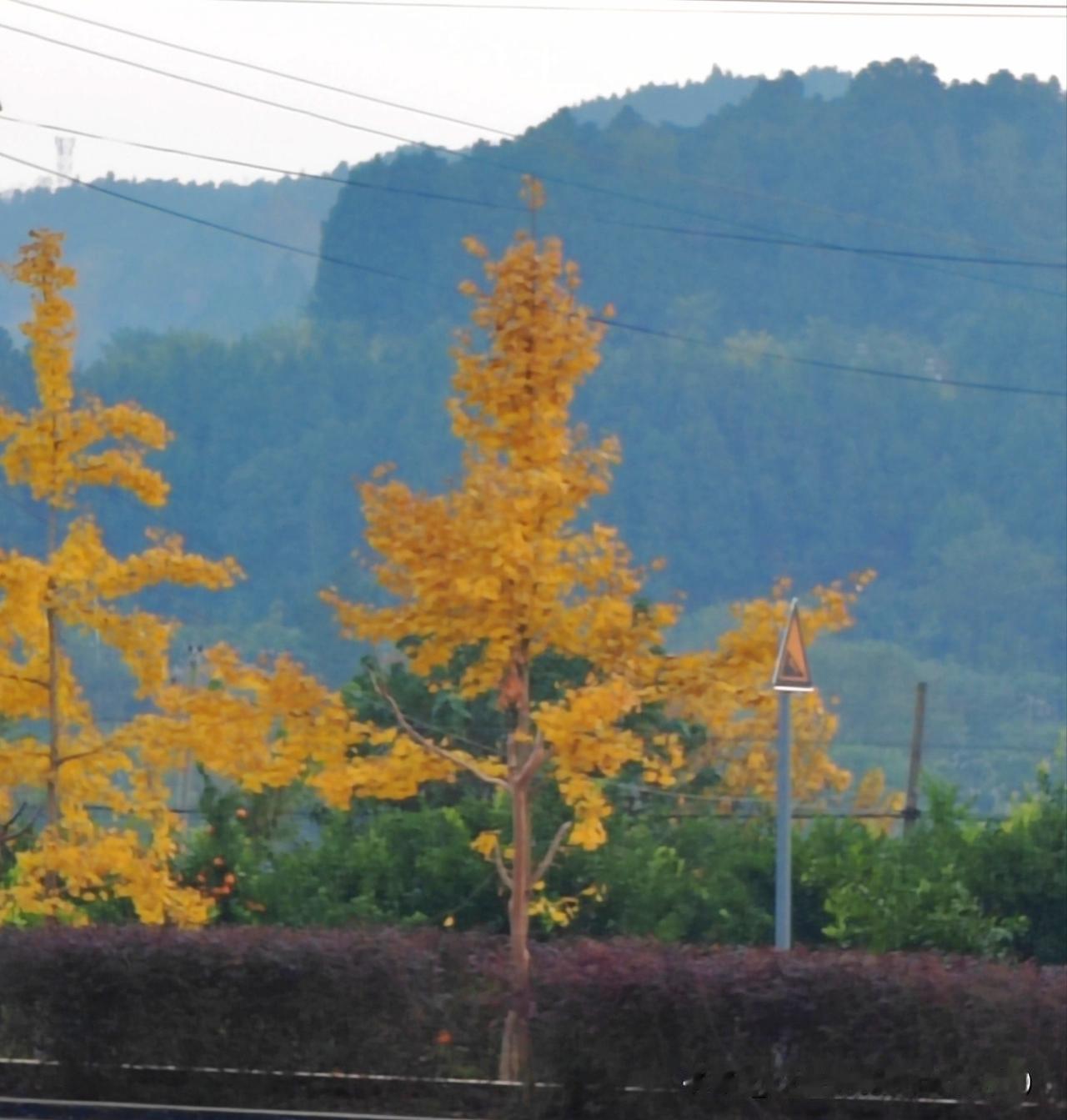 冬日日常，简单惬意，平安顺遂就好❄️