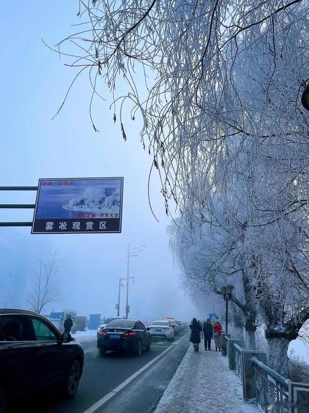 冰雪旅游  【雾凇花开，银丝万条】百闻其名，不如亲临其境。 即刻出发去吉林  这