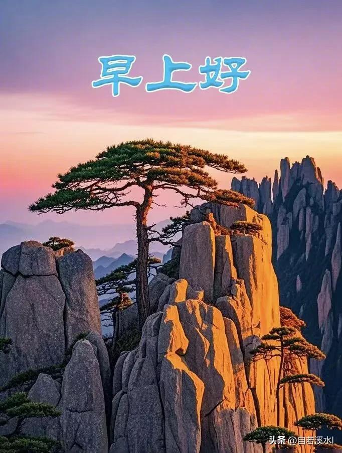 迎着淡淡晨光，放下心中烦忧，不求事事圆满，只愿日子安稳顺遂。