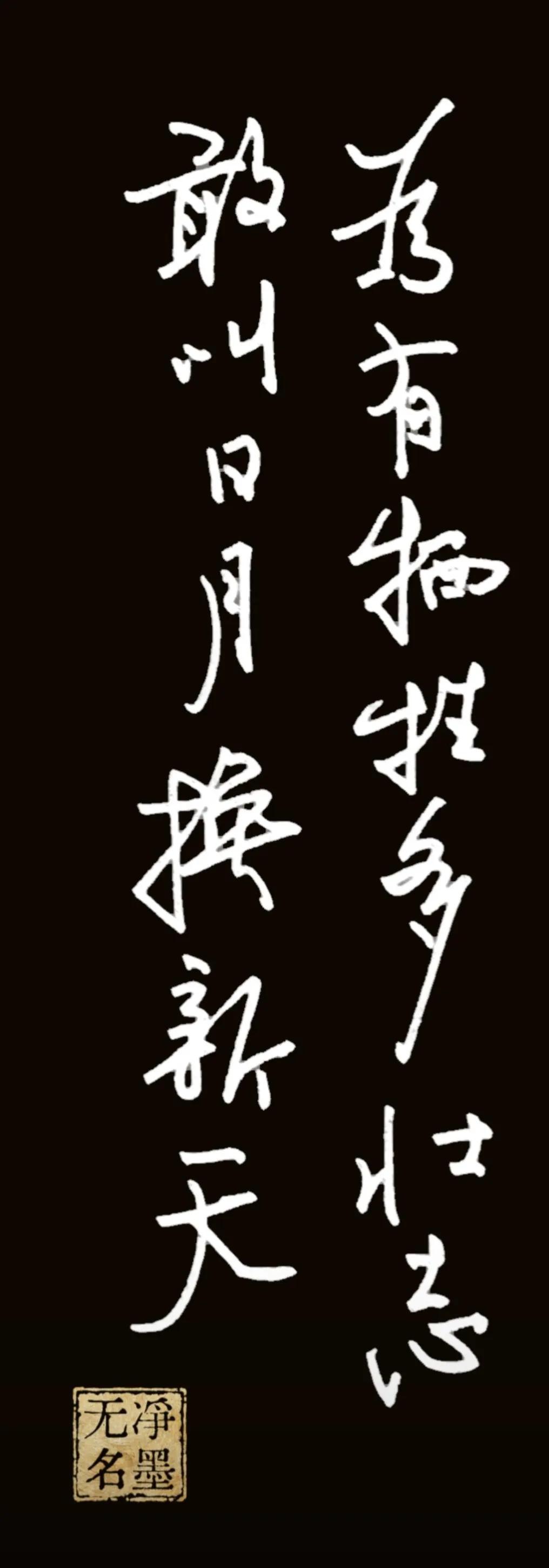 无数先烈胸怀凌云壮志、舍身奉献，才彻底扭转乾坤，开创出全新的天地山河，赞颂革命者