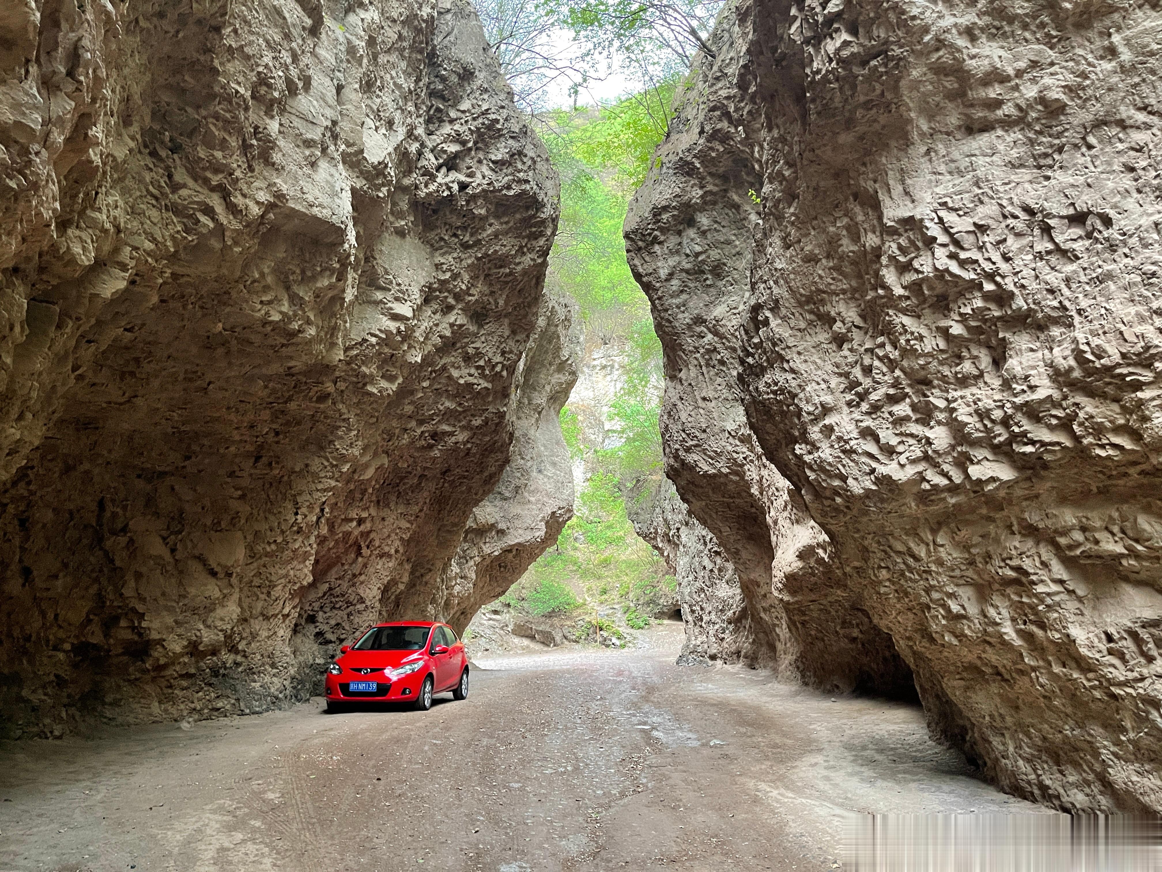 周末开着小车带全家，开心[嘻嘻] ​​​