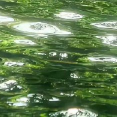 温柔以待，善意相伴，便是对生活最好的回应。每日留一份善念在心底，付诸一份善举在日