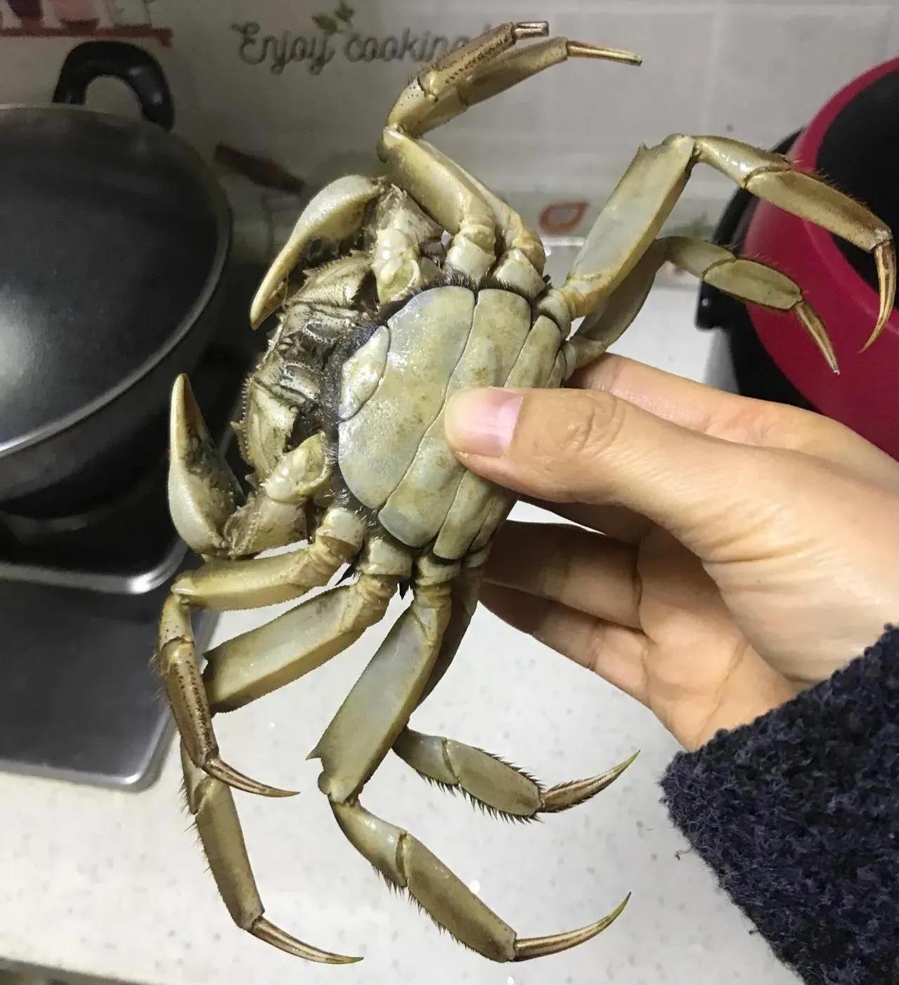 关于刚死的螃蟹是否还能吃的问题，下面为您详细解答：

一般来说，螃蟹在死亡后，体