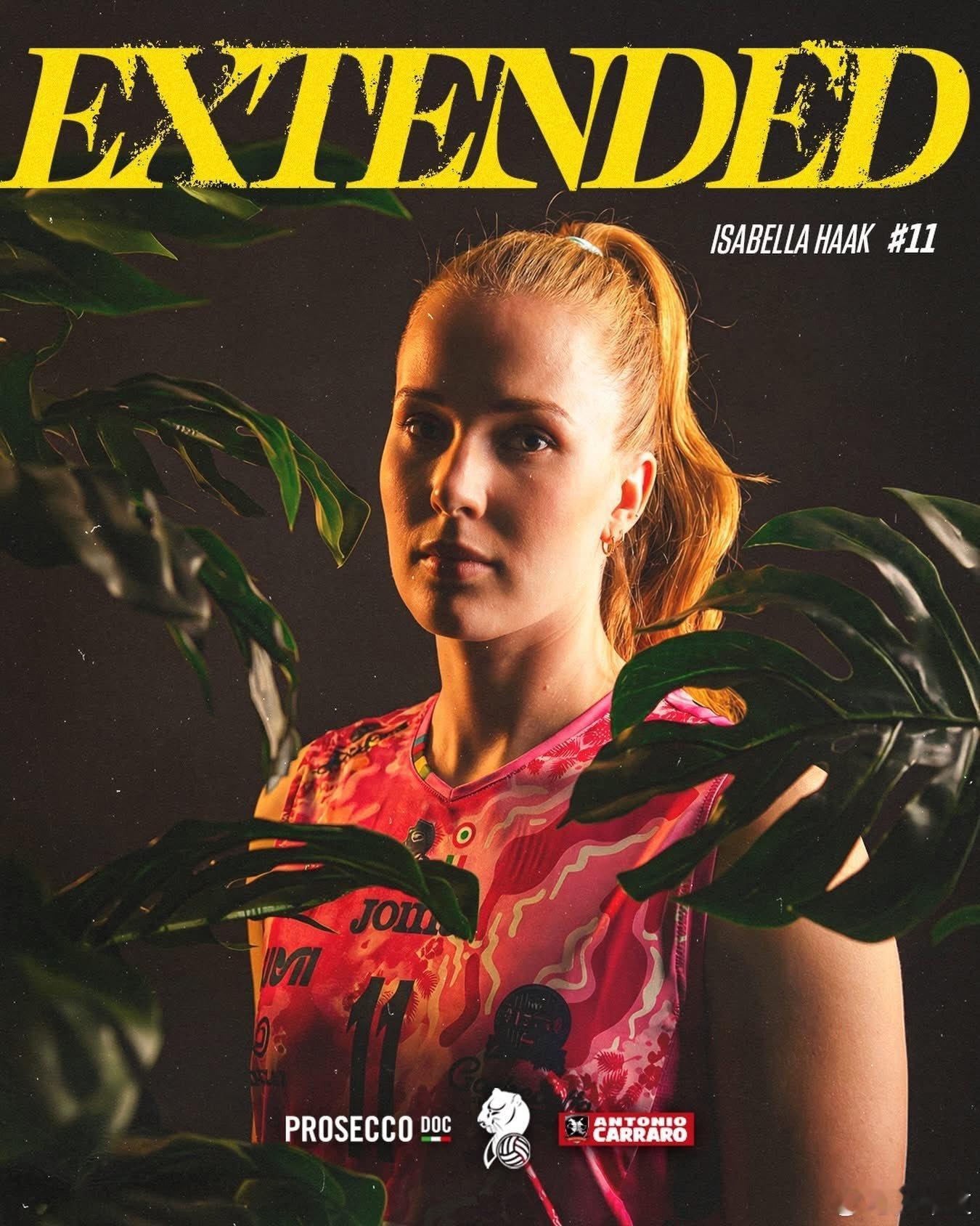 国际排坛动态科内利亚诺科内利亚诺官宣：已与伊莎贝尔·哈克完成续约“每个人都想拥有