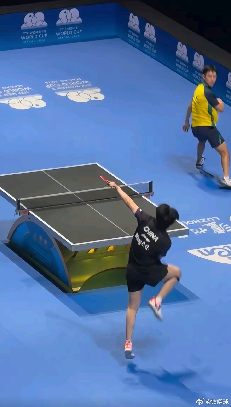 王楚钦 大鹏展翅