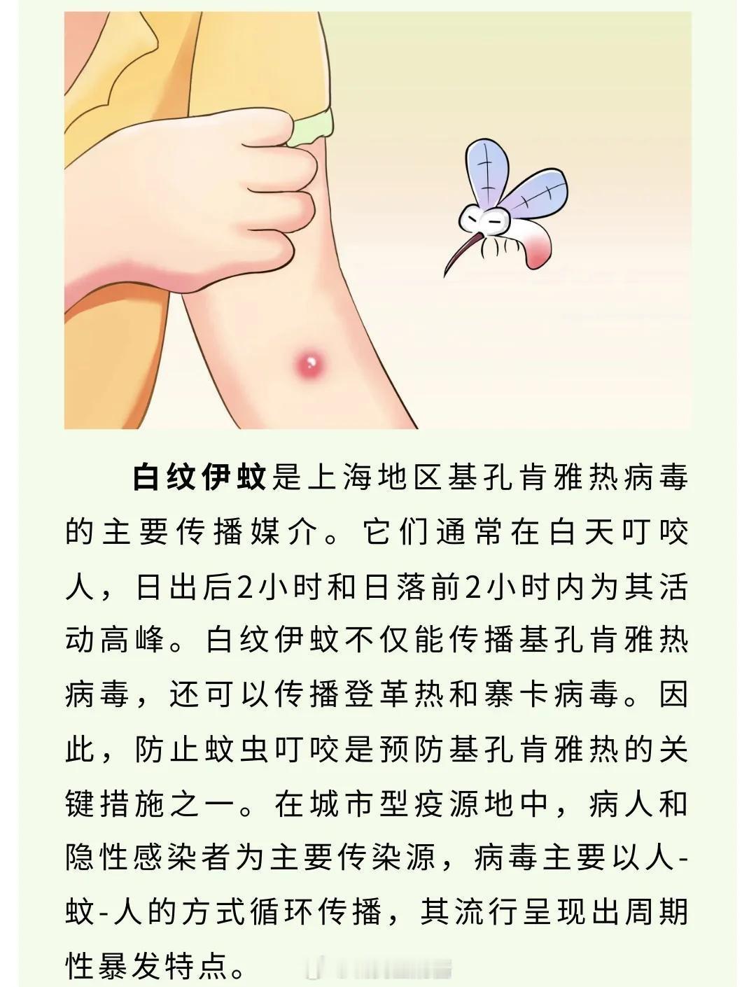 如何辨别蚊子是否传播基孔肯雅热当初肯雅热刚出现的时候，我就跟在佛山的朋友聊传播的