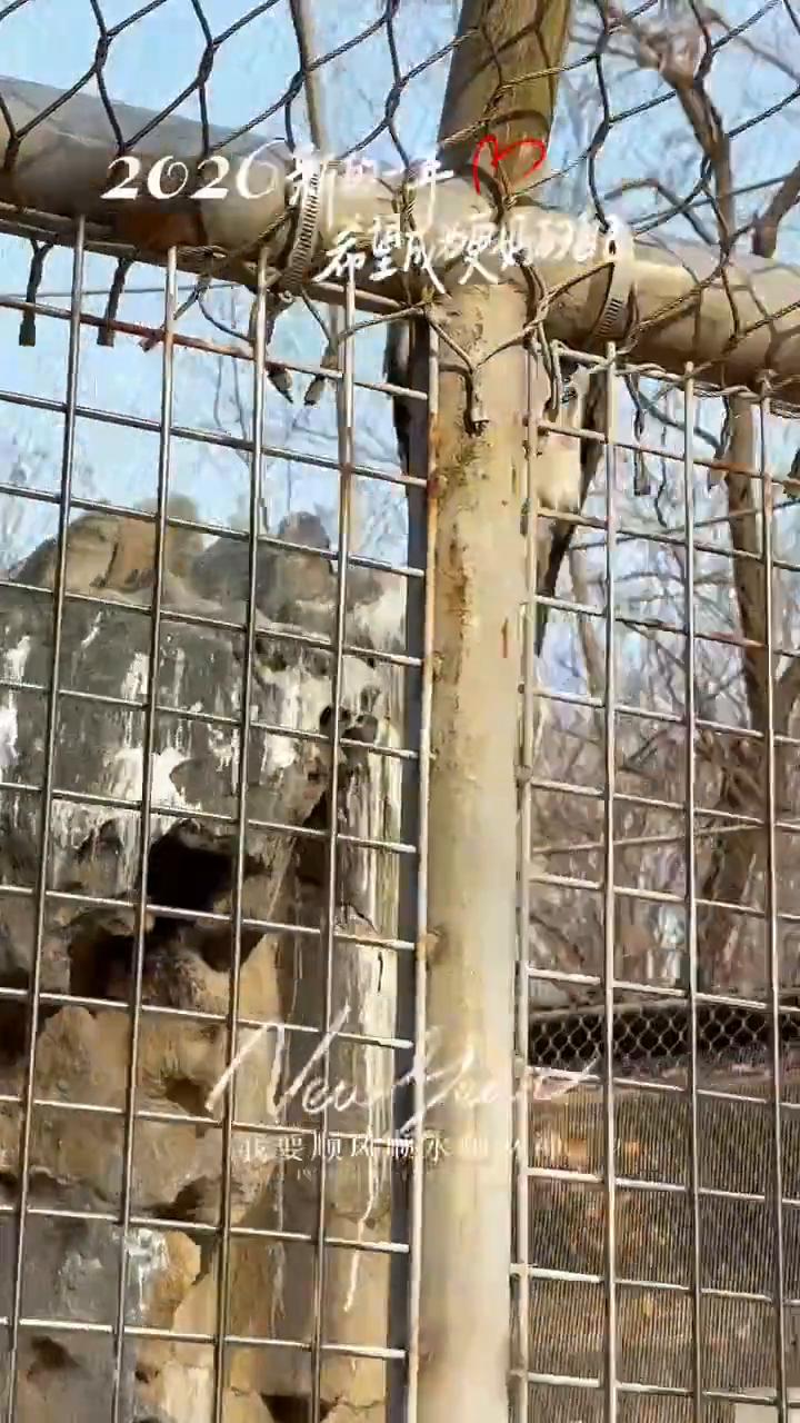 2020新的一年，希望成为更妈的脏己。2026新的年！