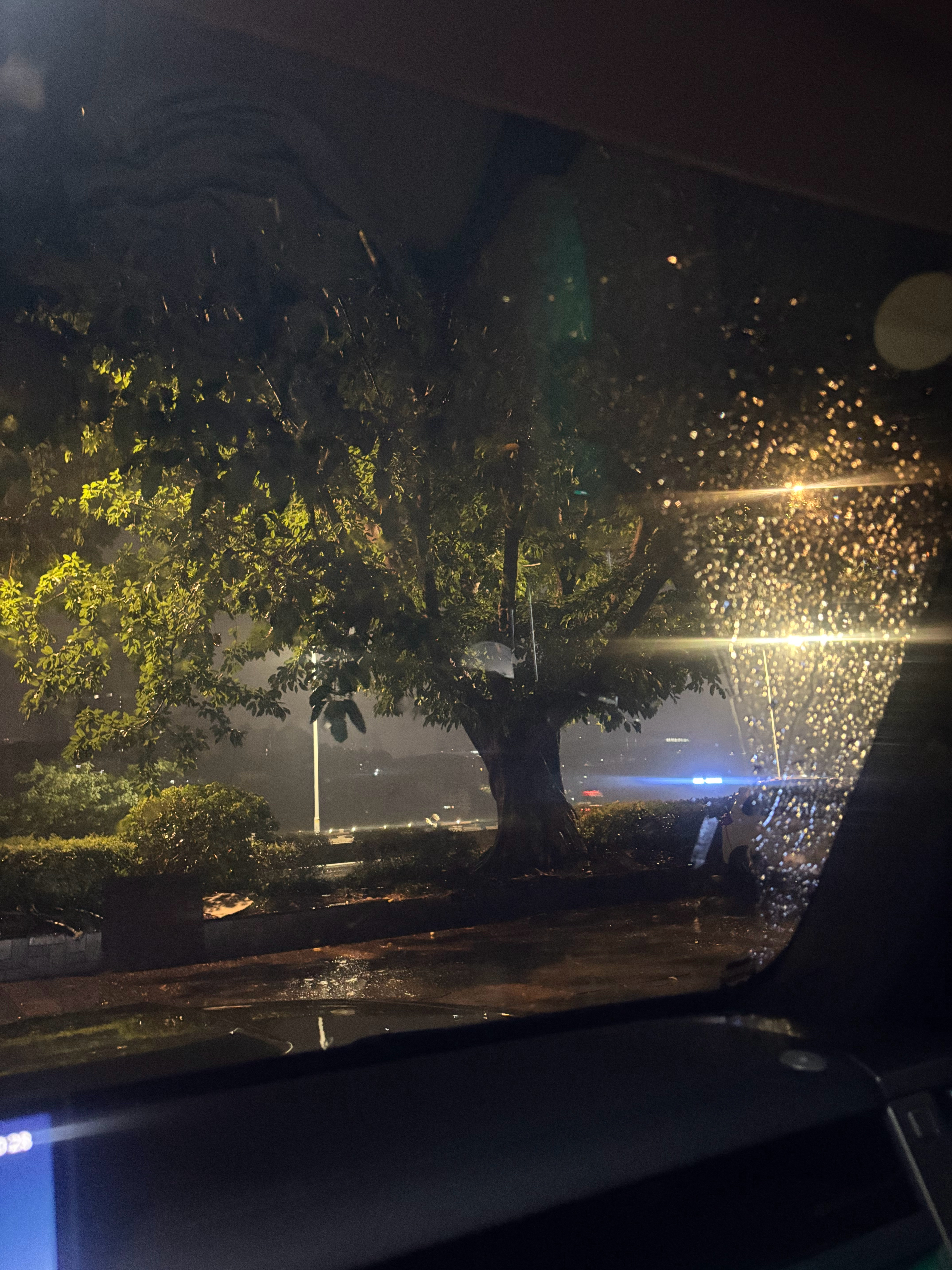 真的得夸一下HSD暴雨行驶能力感知能力、防御性驾驶、控速、找路一点没打折扣雨刮刮
