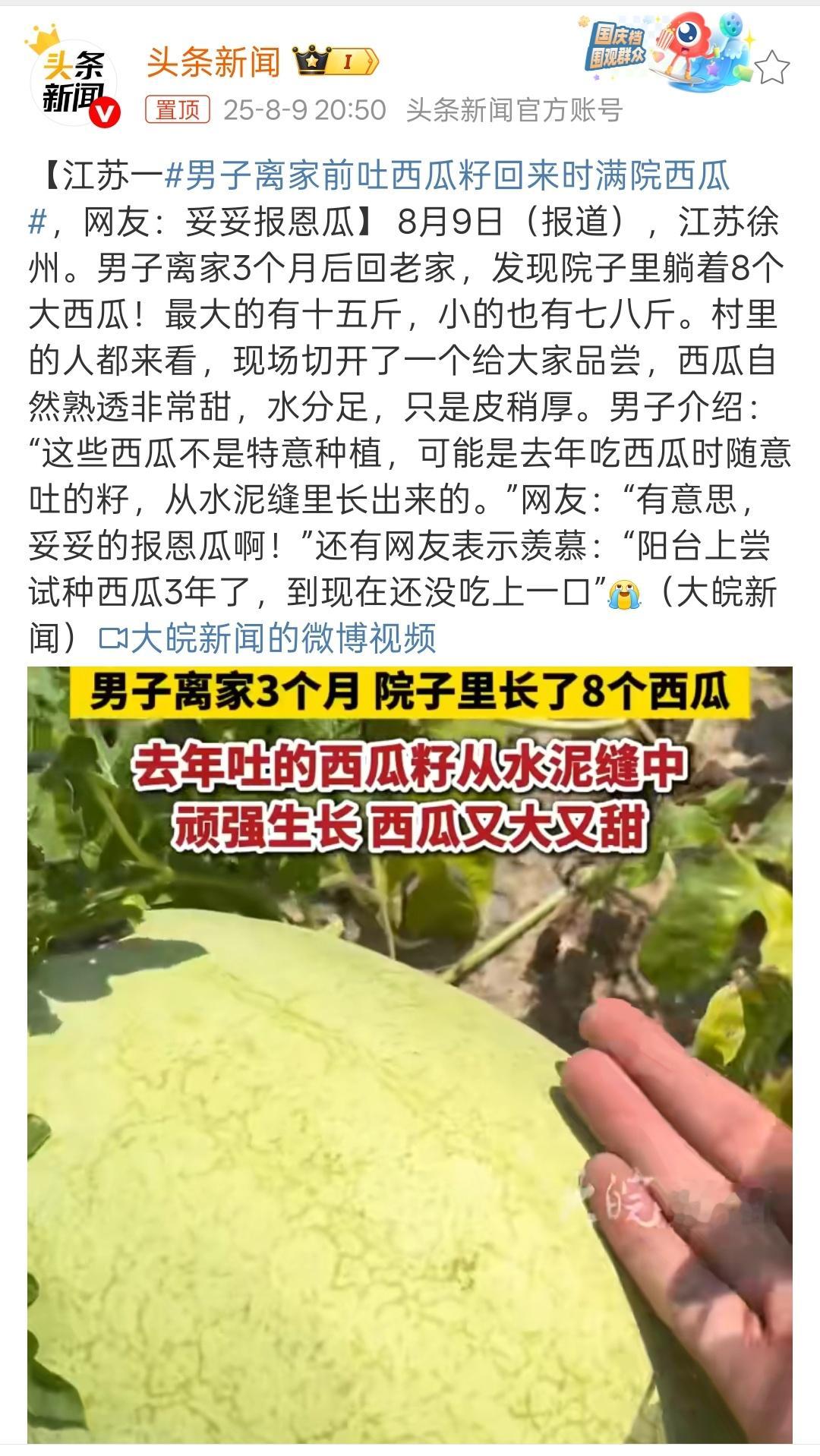 男子离家前吐西瓜籽回来时满院西瓜真的是无心栽瓜瓜满园呀！这可是真正的天然无污染水