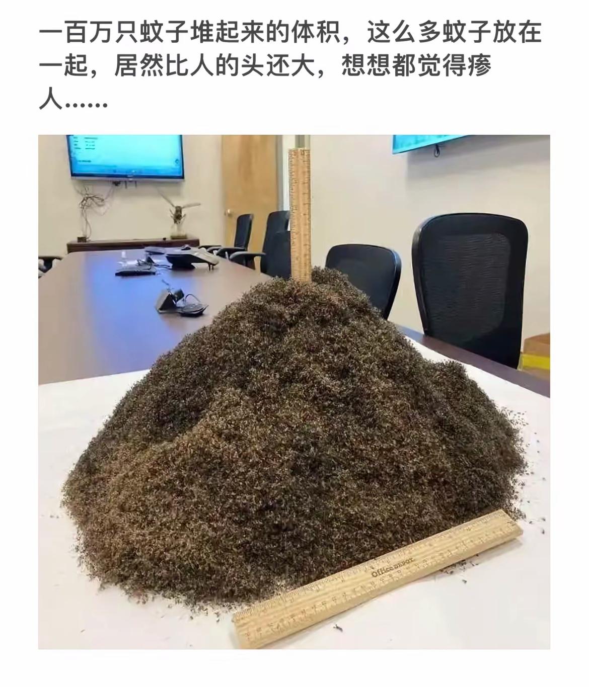 “一百万只蚊子堆成山，太恐怖了！”😱🐝💀