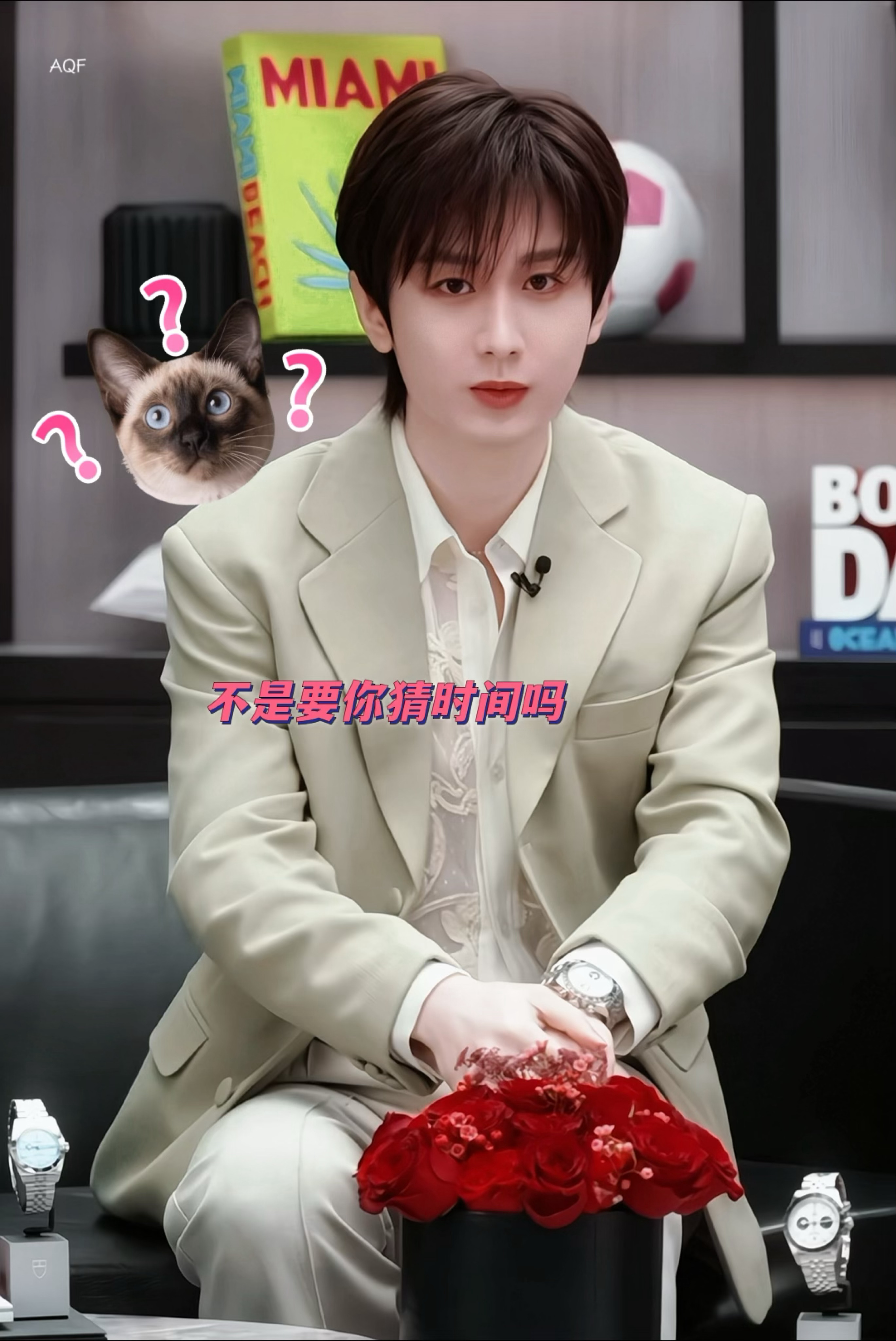 主持人“猜一下20s时间”ee“我看不到 所以不知道”是谁家的憨憨哈基米呀