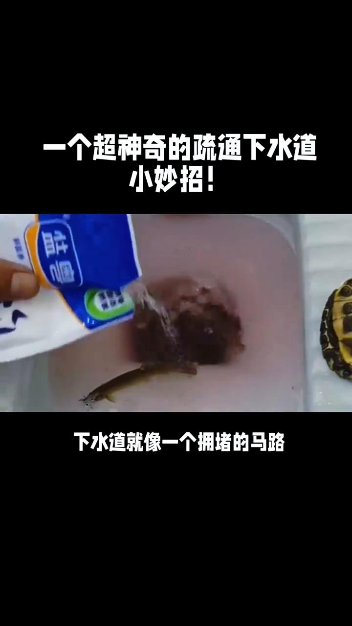 一个超神奇的疏通下水道小妙招。
一个超神奇的疏通下水道小妙招，其实用食盐和泥鳅就