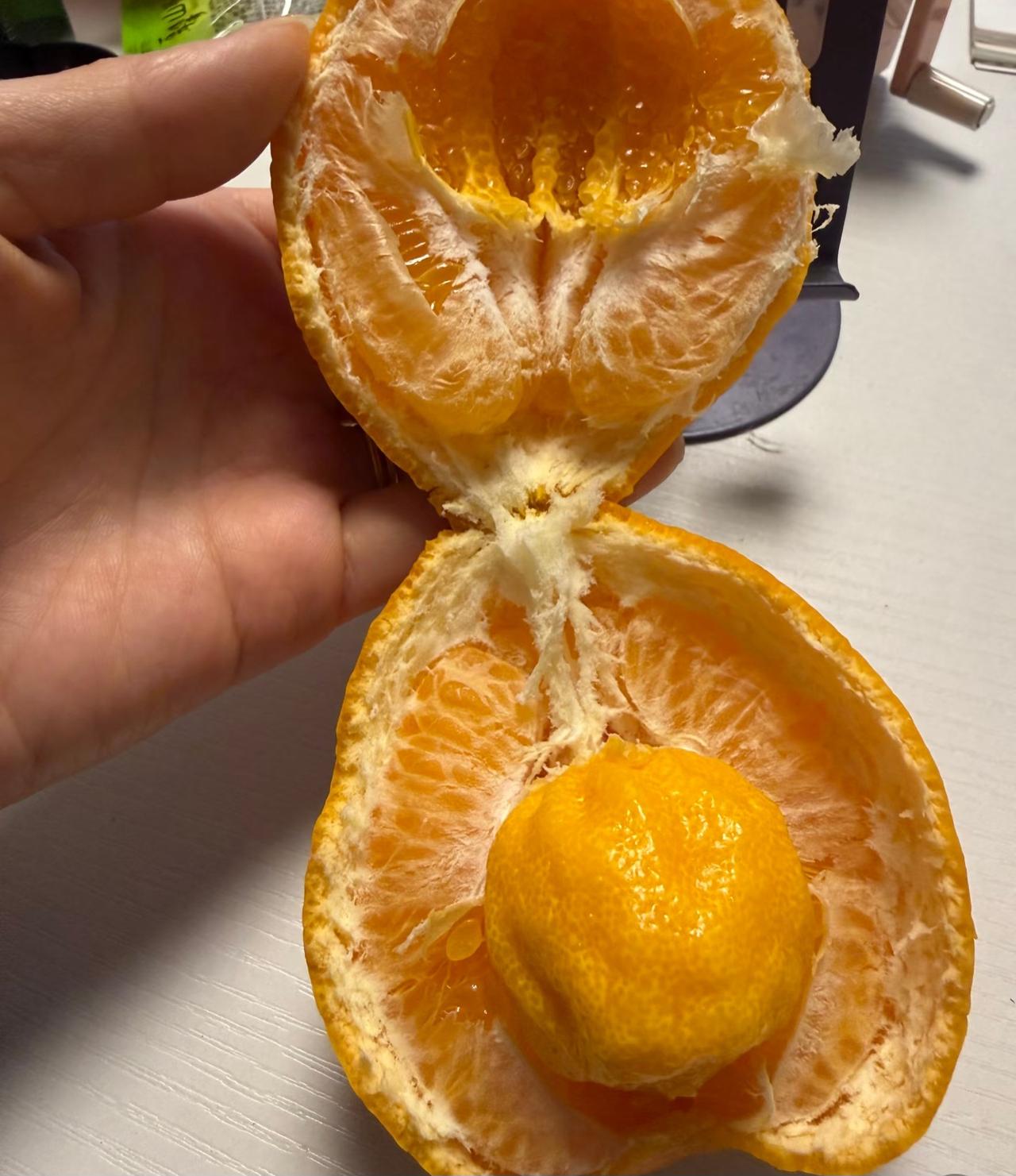 橘子里竟然还藏了个小橘子？
昨天在超市里买的耙耙柑
剥开直接给我整蒙了
里面居然