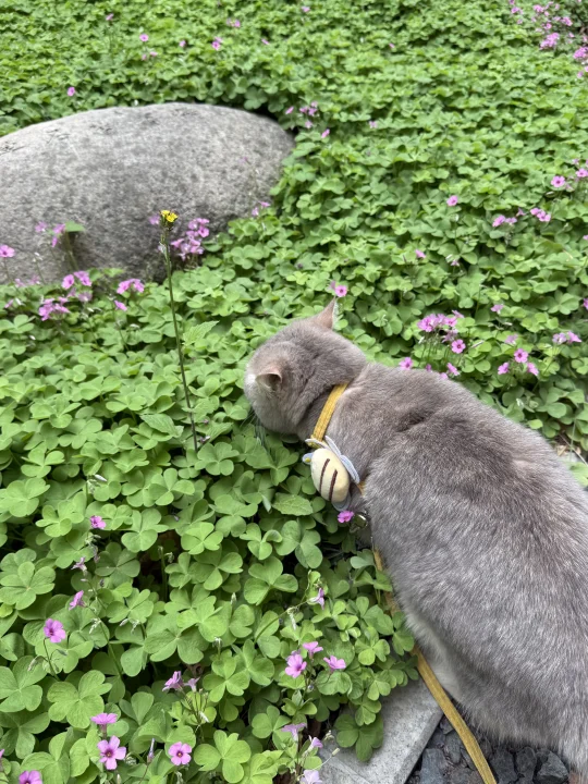 我来感受一下大自然