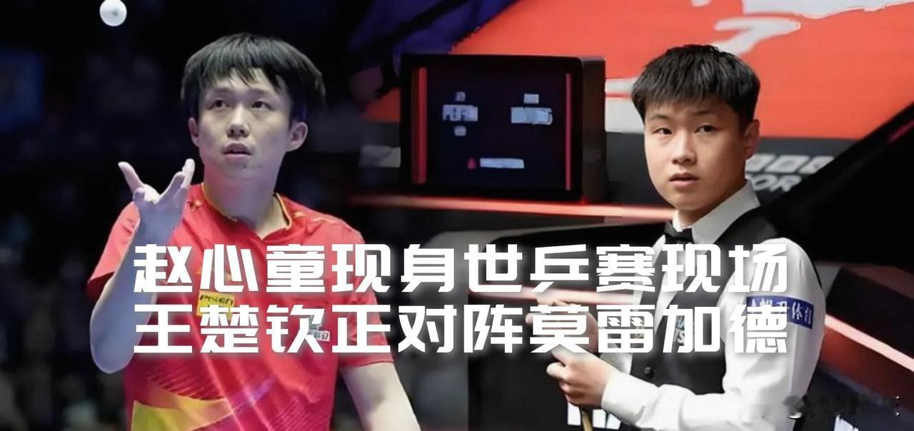 【王楚钦对阵莫雷加德在打！观众席上赵心童对着镜头闪现一个微笑！】