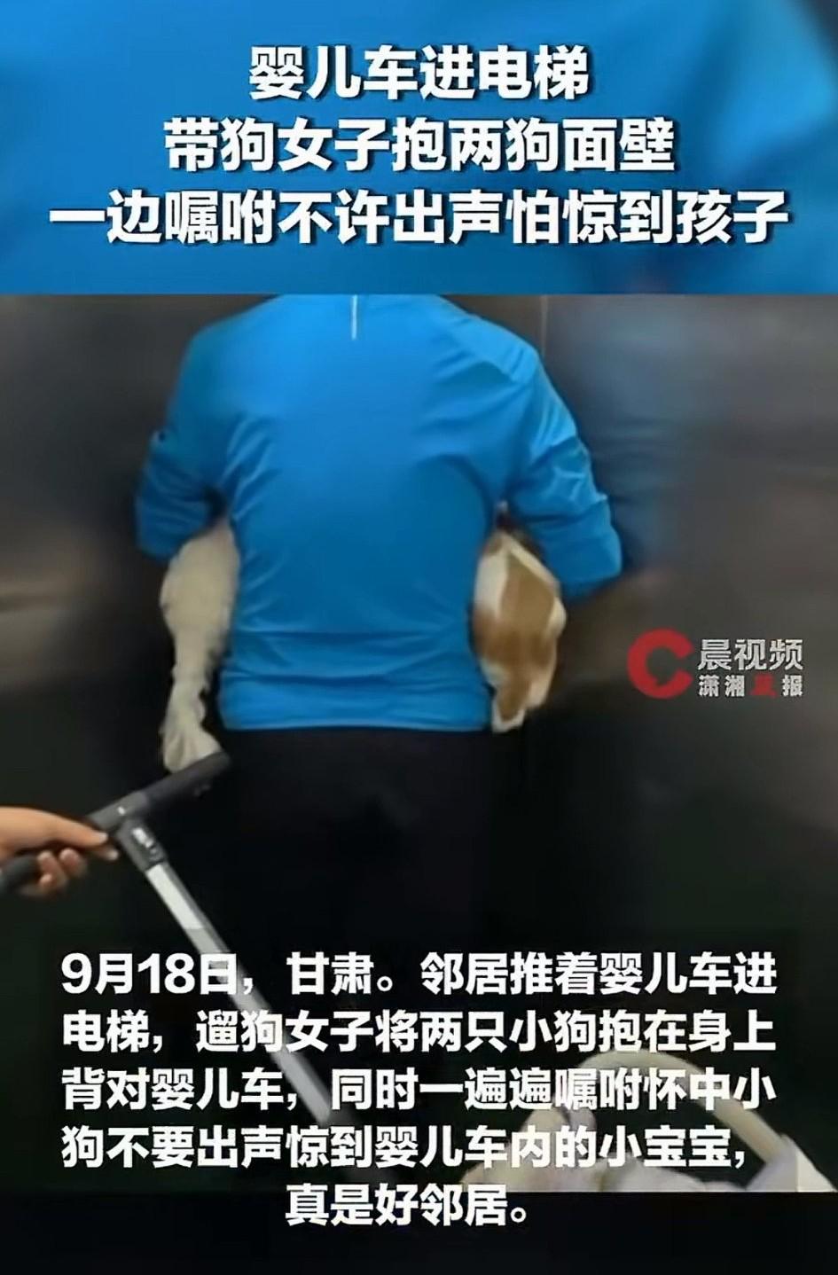 甘肃，一宝妈推着婴儿车进入电梯，期间带了两只狗同乘电梯的女子见车上婴儿后，二话没