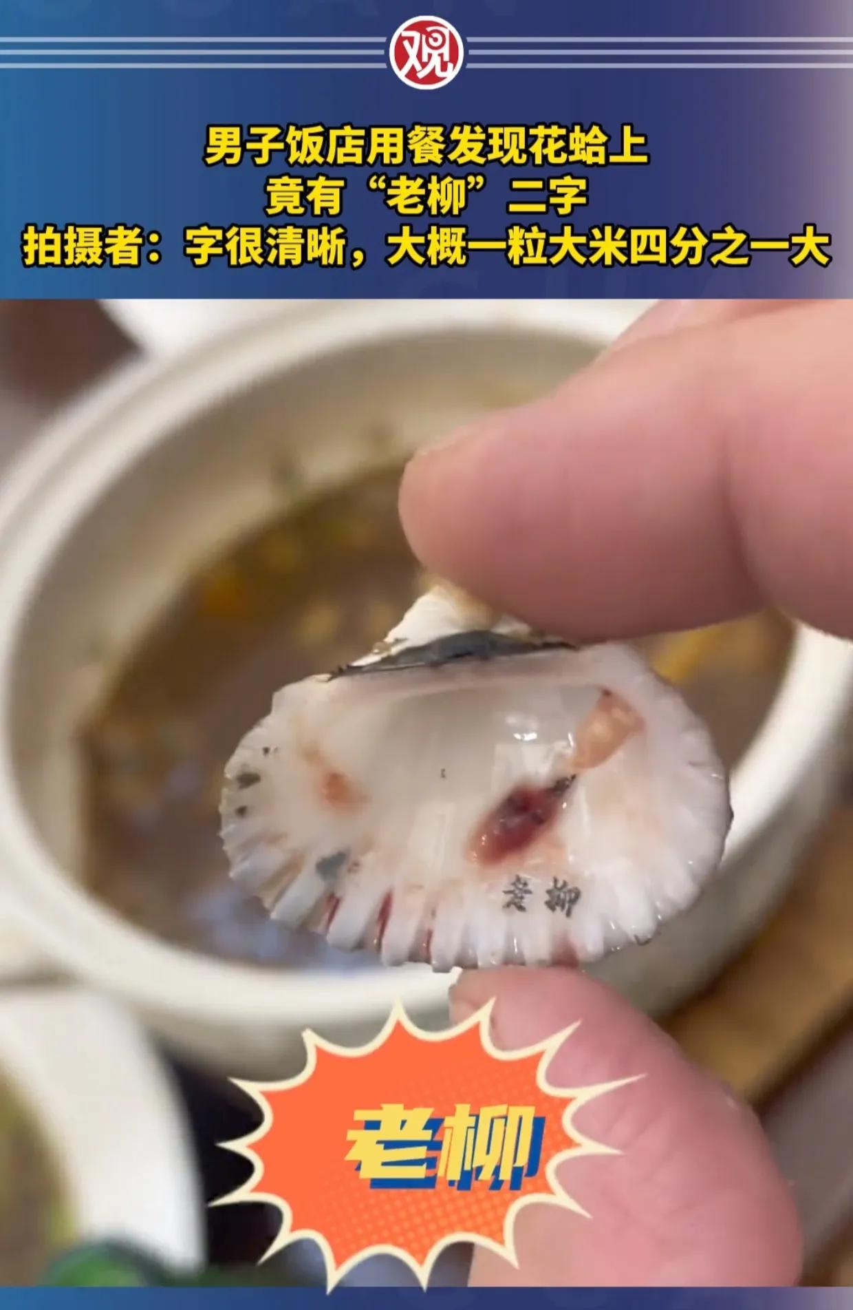 花蛤吃出2个字“老柳”，真的是离了大谱…

今天刷到这么一个视频，一位先生去一温