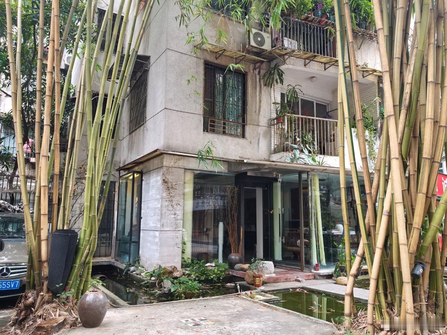 到老市区，被一个房子惊艳了刚好主人出来攀谈几句就是普通人家，不是什么咖啡店或者茶